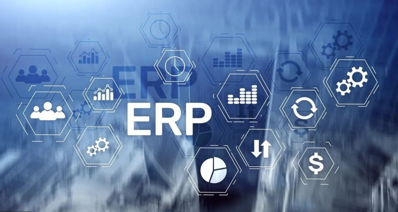 ERP 软件多元系统：实现企业数字化转型细节化
