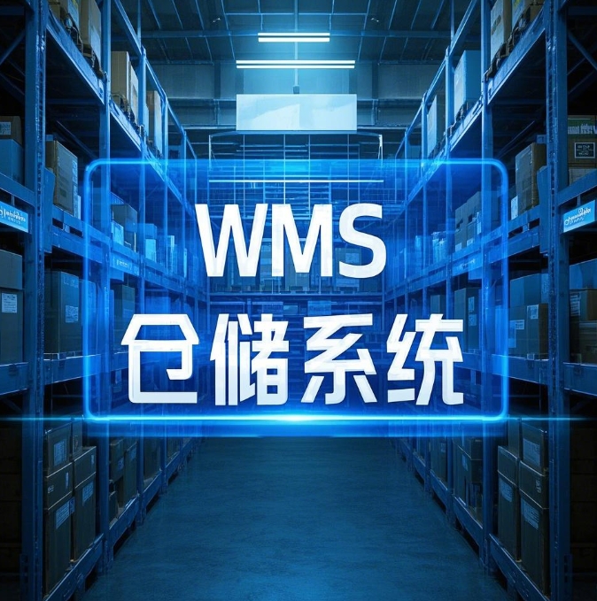 如何降低 WMS 仓储管理系统实施过程中的隐性费用策略
